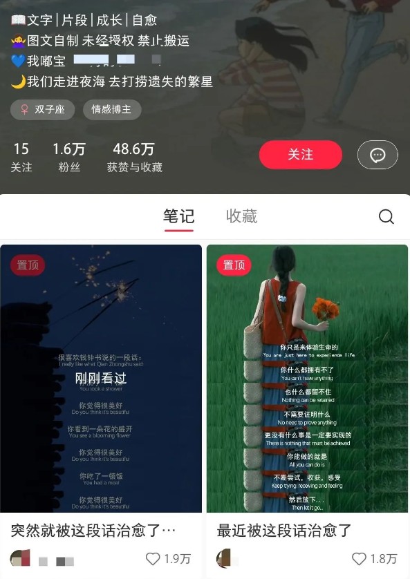 小红书治愈文案图文笔记，零门槛，一分钟制作轻松制作爆款作品月入万元插图1