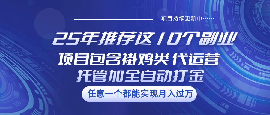 25年推荐这10个副业 项目包含褂鸡类、代运营托管类、全自动打金类插图