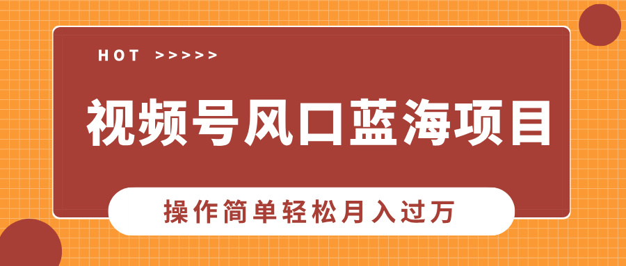 视频号风口蓝海项目，中老年人的流量密码，操作简单轻松月入过万插图